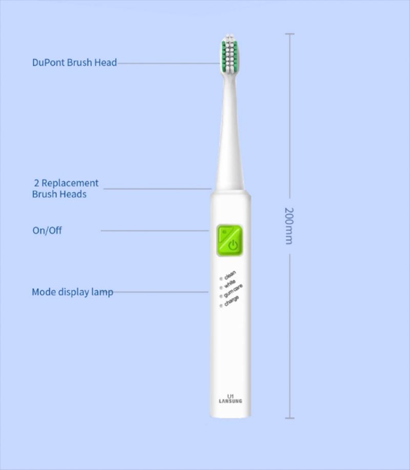 Waterproof battery operated portable electric travel toothbrush new electric toothbrush battery