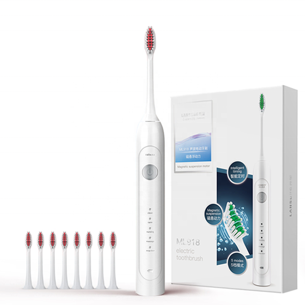 SONIC electrical toothbrush electronic toothbrush